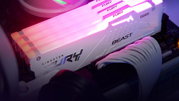 KF560C30BBEAK2-32 - Banner